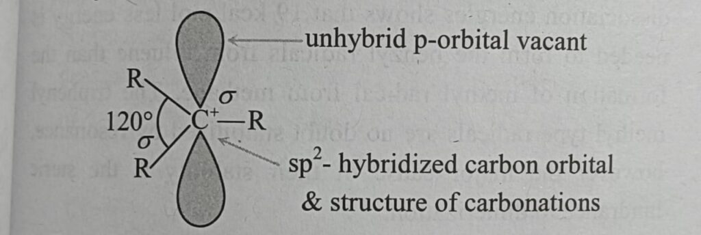 whatsapp image 2025 11 25 at 6.26.36 am